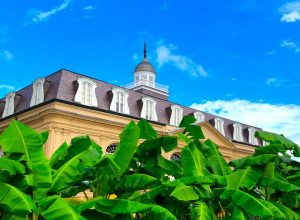 New Orleans Weather In May Photo