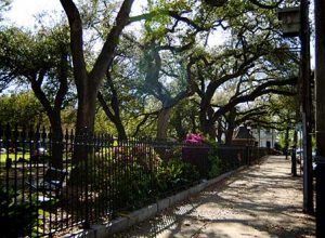 Quiet places to stay in New Orleans Photo