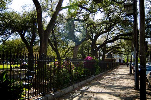 Quiet New Orleans