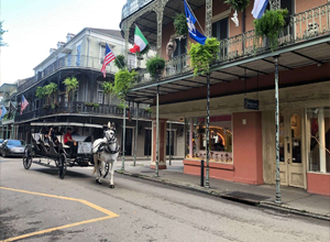 Who Could Stay No To NOLA in November?