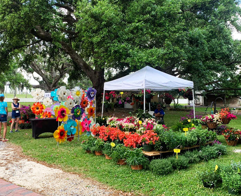  Have a blooming good time at Destrehan Plantation